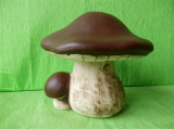 Houbičky a  houby
