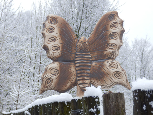 Plotovka - velký motýl