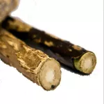 Aktinídie stříbrná - Silvervine stick 1 ks