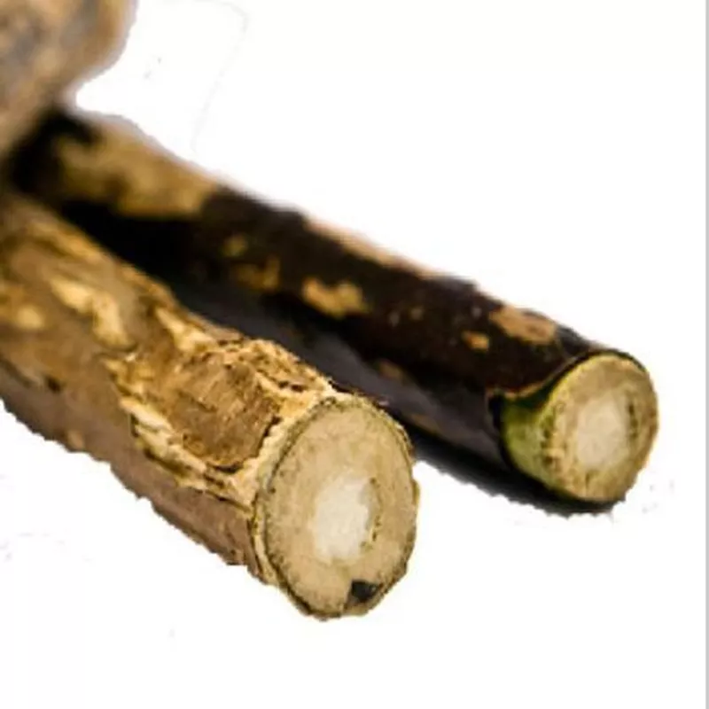 Aktinídie stříbrná - Silvervine stick 1 ks