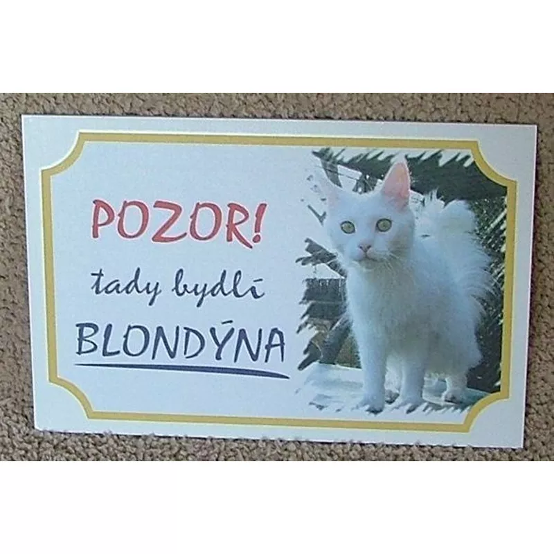 Tabulka Tady bydlí blondýna