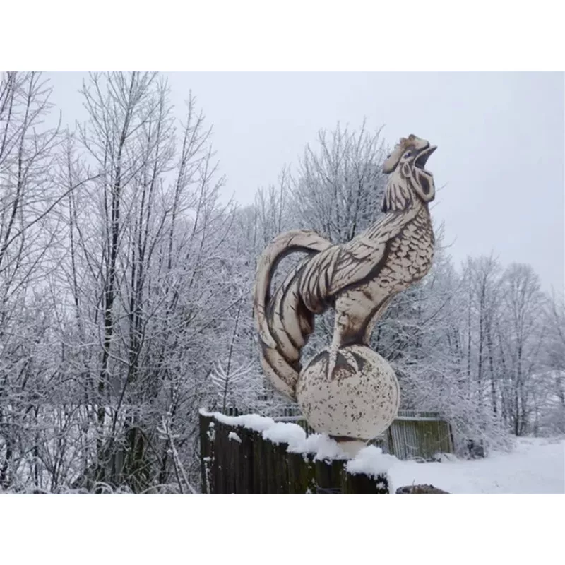 Plotovka - kohout natur