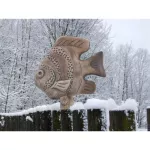 Plotovka - rybka skalára natur