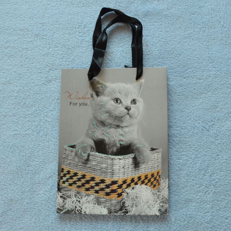 Dárková taška britská kočka