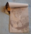 Poznámkový blok - dopisní papír - kočka