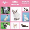SAMOLEPKY SIAMESE - kočka siamská